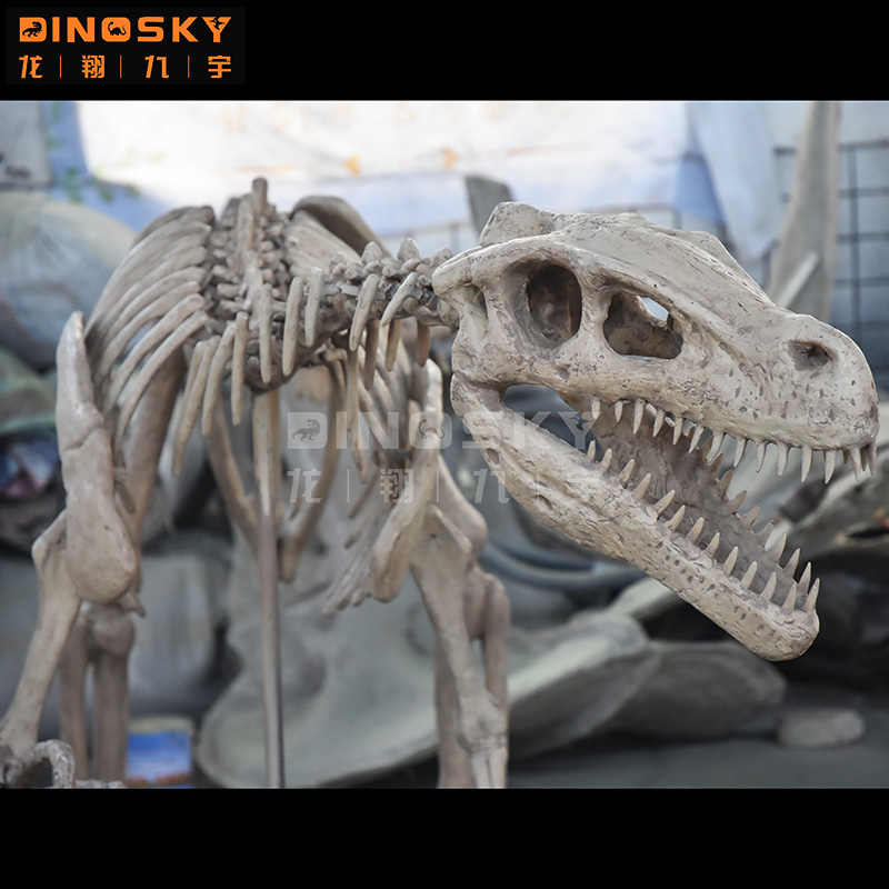 แบบจำลองโครงกระดูกไดโนเสาร์เรซ - Science Exhibition Models บทวิจารณ์และราคา
